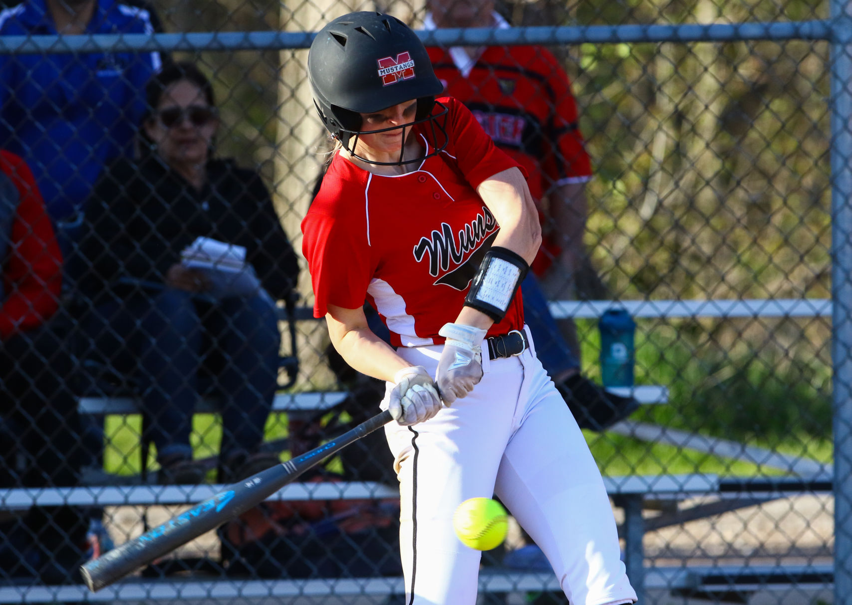Gallery: Munster at Andrean softball